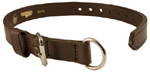 Premium Leather Collar - 1 1/4" Agitation